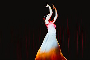 Ансамбль Flamencia