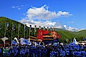 участники фестиваля на митинге